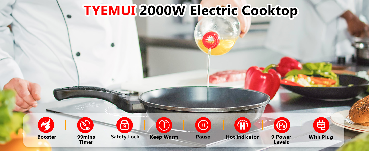 2 Burner Electric Cooktop 110v Plug in