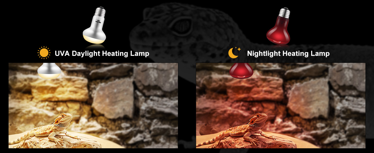 reptile night heat bulb