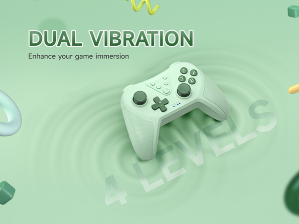 DUAL VIBRATION