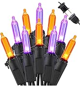 Brizled Purple & Orange Halloween Lights, 95.14ft 240 LED