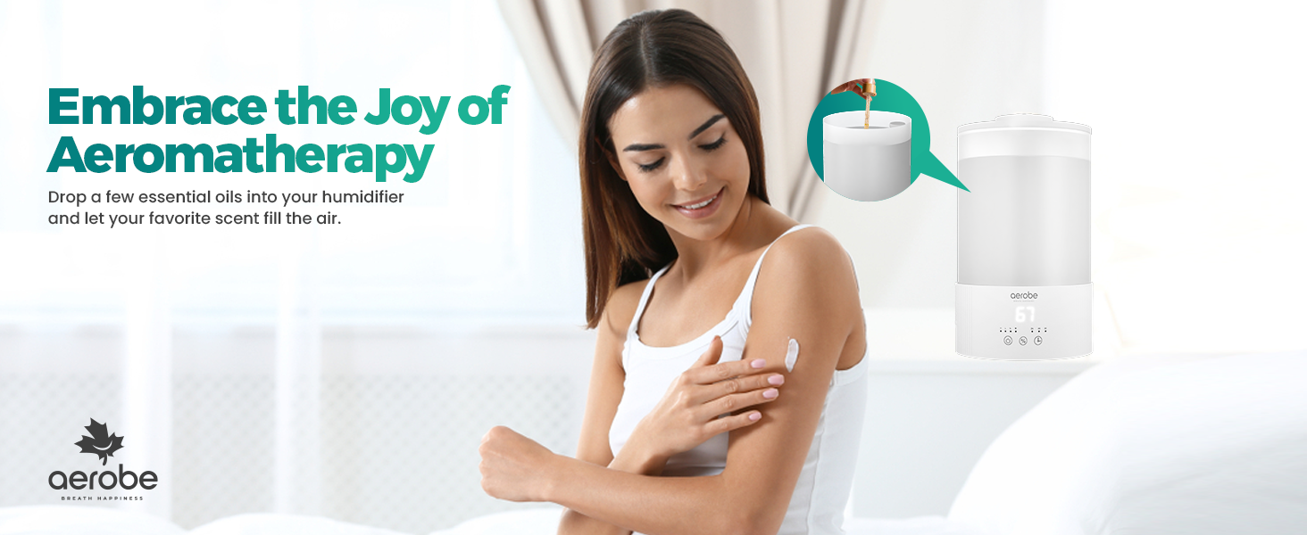 travel reptile anti gravity desk jet fire dehumidifier pro