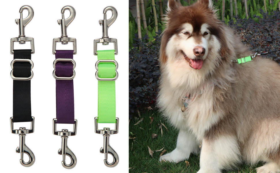 Backup Collar for Dogs Backup Clip Dog Safety Clip for Dog