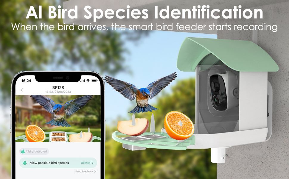 Smart Solar Powered WiFi Bird Feeder Camera with 1080P Video Recording Embedded AI