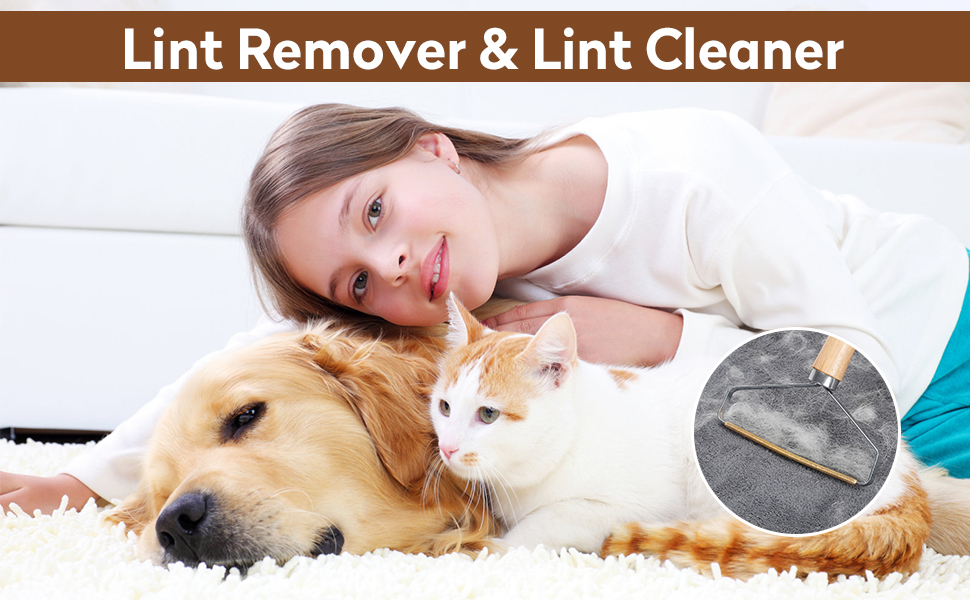 Portable Lint Remover, Metal Lint Roller, Portable Carpet Scraper Tool