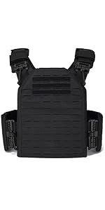 plate carrier