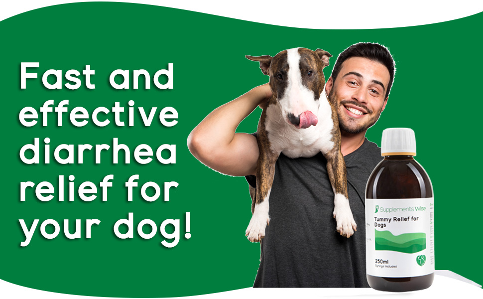 Tummy Relief for Dogs Puppy and Dog Diarrhea Treatment Stomach