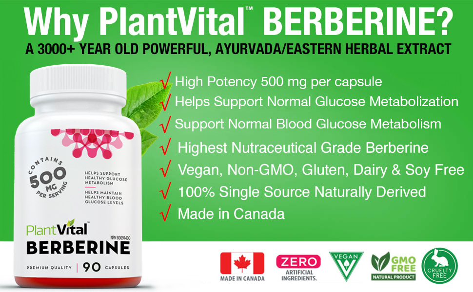 PlantVital Berberine 500mg Supplement -90 Capsules. Berberine - Best Berberine Supplement For Blood Sugar