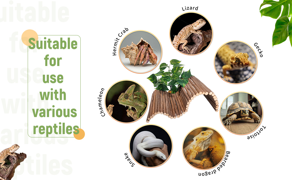 suitable for use with various reptiles
