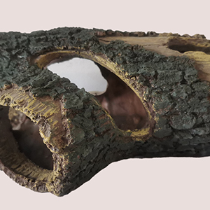 Comfortable and safe home