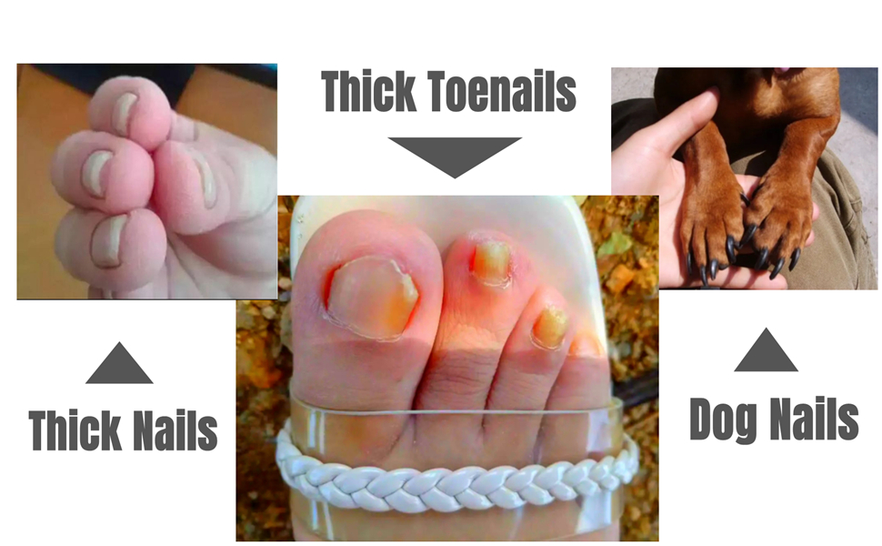 Who is this product suitable for?