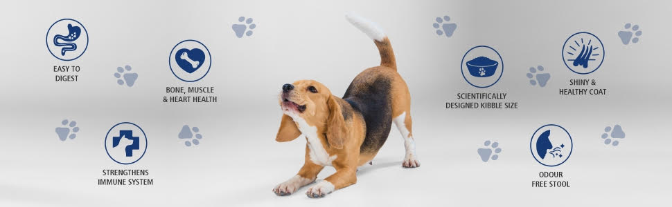 Puppy & Adult Dog Food
