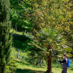 Small manufacture image 2