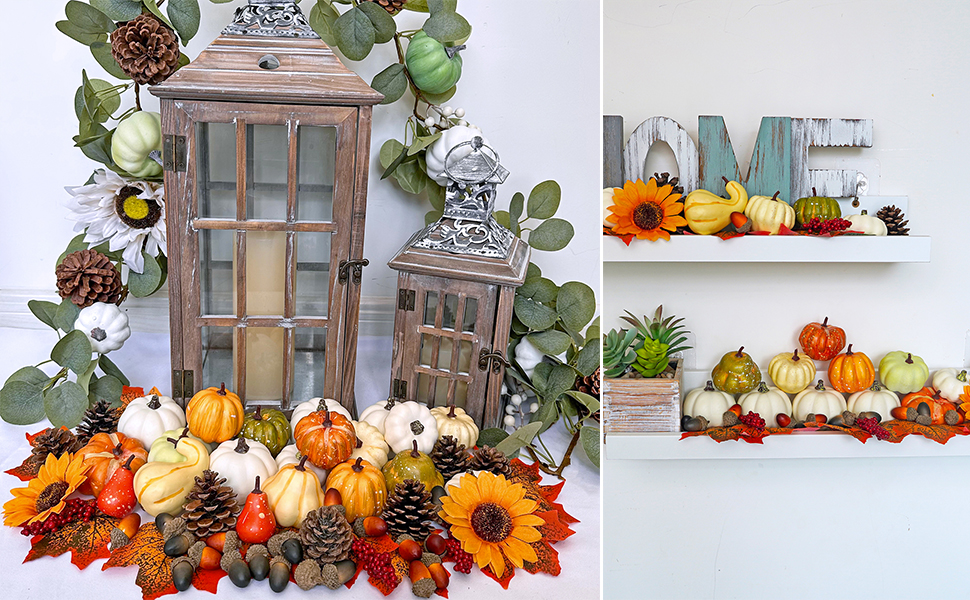 Winlyn Assorted Harvest and Baby Boo Pumpkins and Gourd