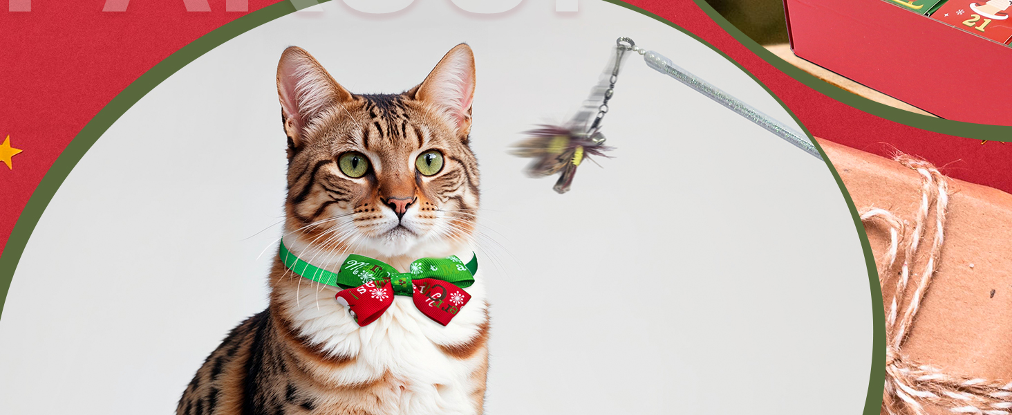 Christmas Cat Toy Advent Calendar 2024 Christmas Holiday
