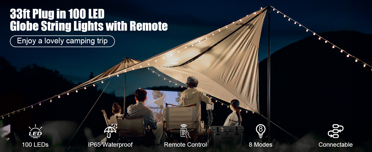 Crystal Globe String Lights Plug in 33 ft 100 LED