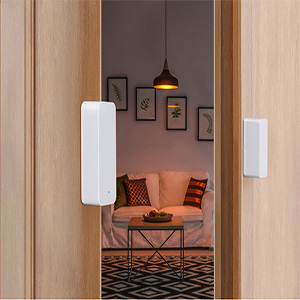 Door Sensor