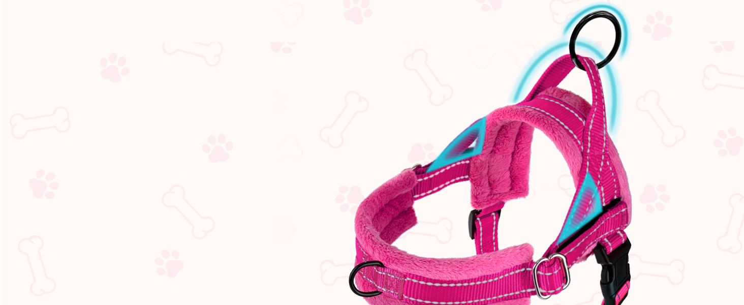 small dog harness leash set for small dogs