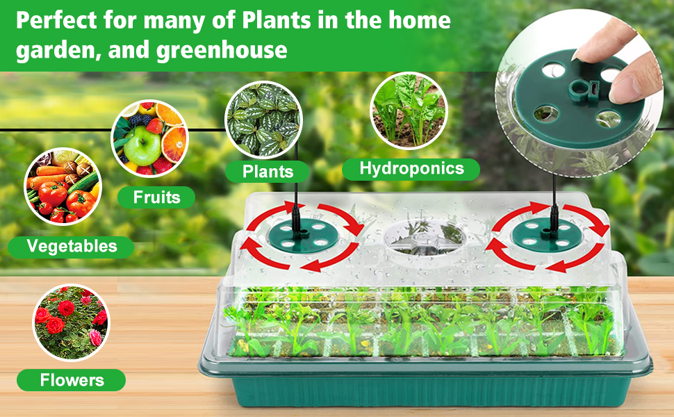 2 Pack 80 Cells Seed Starter Tray with Grow Light Seedling Tray Kit