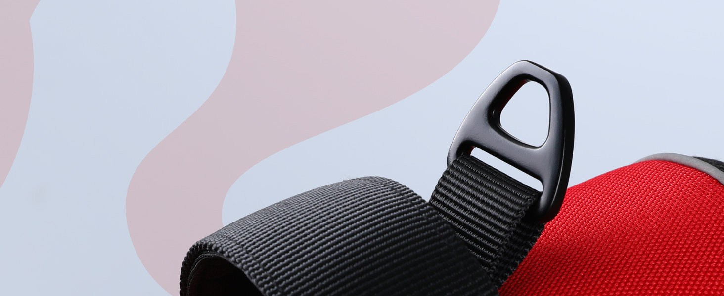 Stainless Back leash Clip