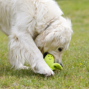 Small manufacture image 5