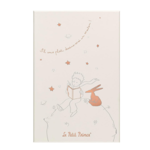 Amazon.co.jp: モレスキン ノート 星の王子様 ノートブック