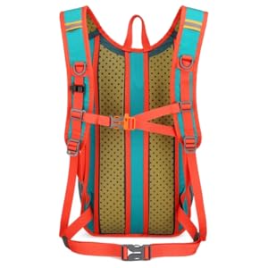 Back of backpack