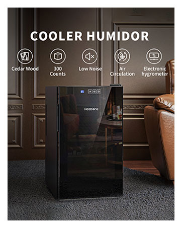 cooler humidor