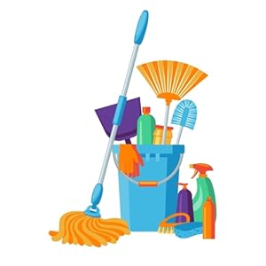 how to clean and organize home decluttering minimalistic