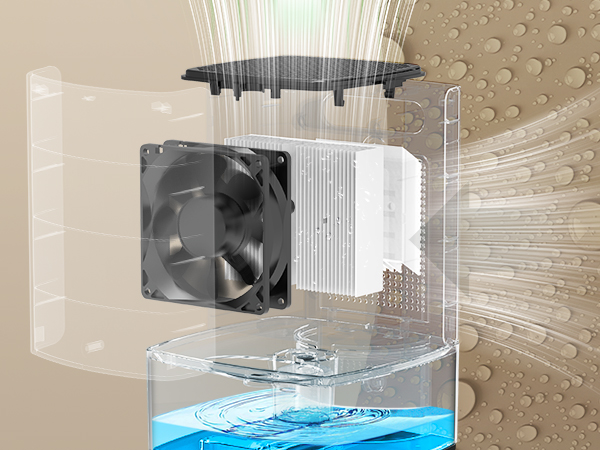 Dehumidifier for Home 