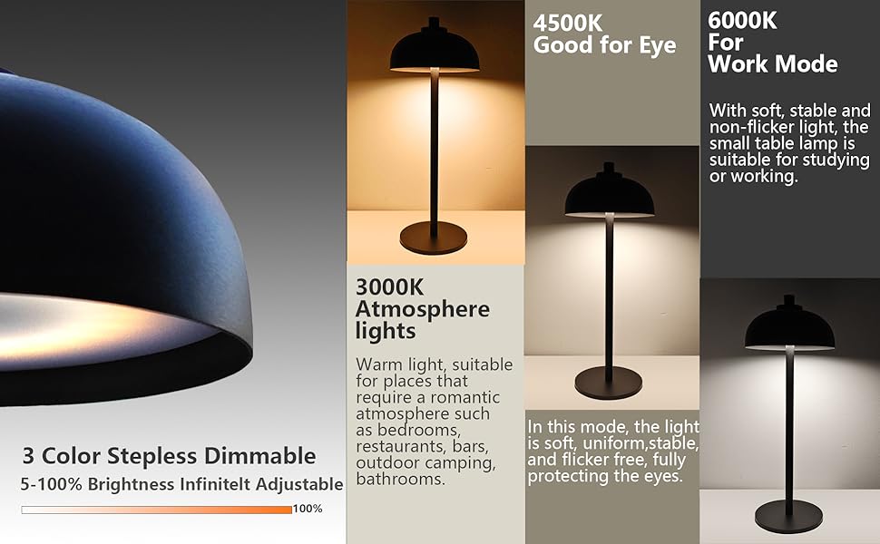 DaneroCordless Table Lamps ,Portable Desk Lamp,5200mAh Battery