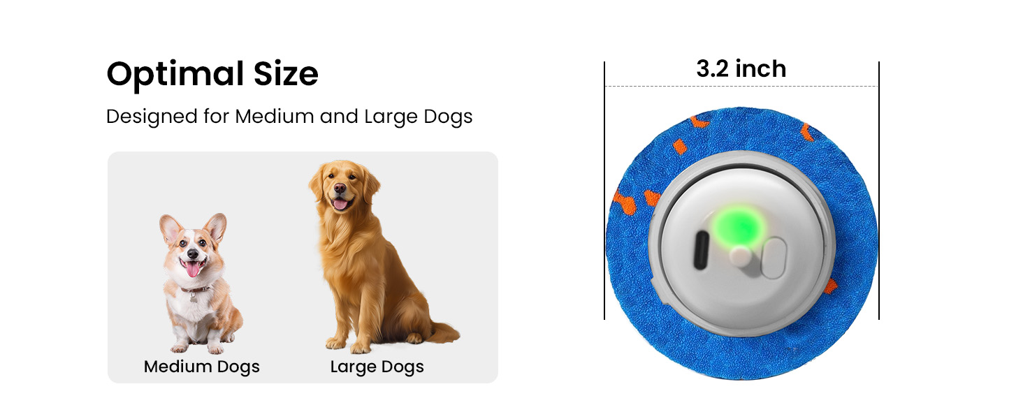 Interactive Dog Toy Ball