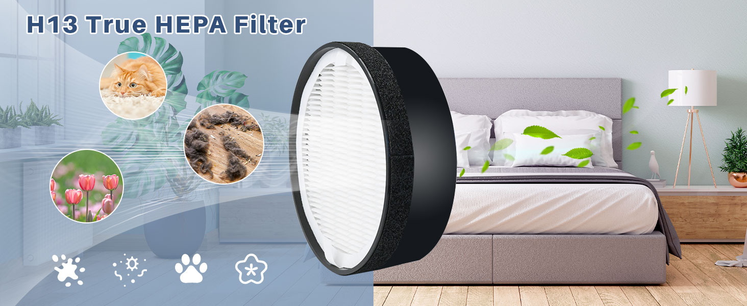 H13 True HEPA Filter