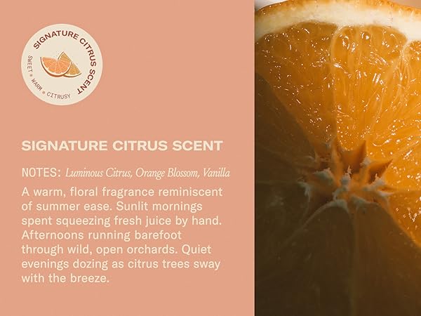 Citrus Scent