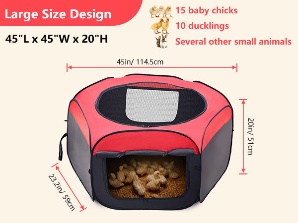 Roosty's - Top Fill 1.5KG Chick Feeder And 1.5L Chick