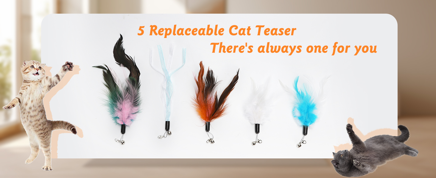Additional 5 Cat Teaser for Replacement