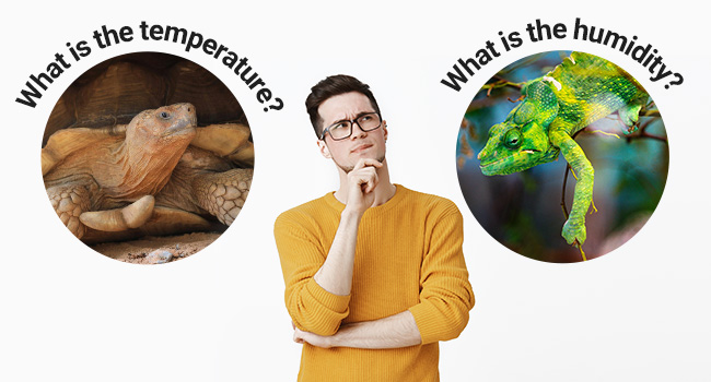 thermometer and humidity gauge