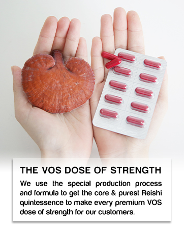 Mushroom Supplement - Everyday Dose of Strength