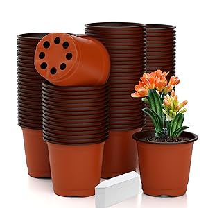小物 Neighborhood BAPE NBHD PLANT POT BAPE X NBHD 】PLANT POT | bape.com