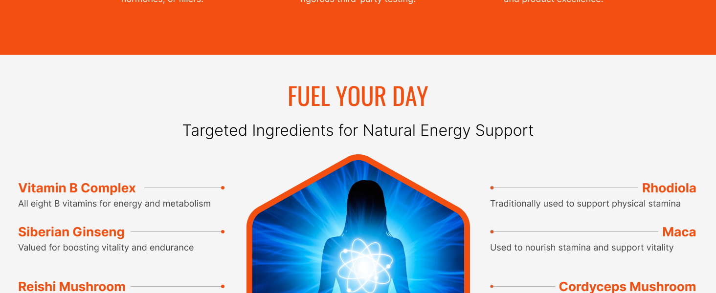 energysyl