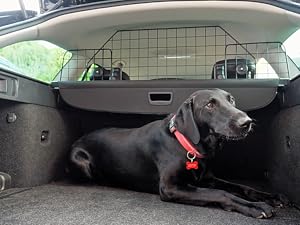 Speedwellstar Dog Guard Car Universal 3kg Ex Strong Fixings Travel Mesh Grill Pet Safety Barrier