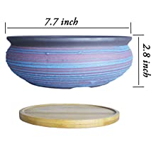 Large Bonsai Plant Pot