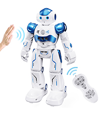 RC Robot Toy