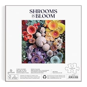 Galison, gift store, planners, notebooks, puzzles, stationery, gifts, gift shop, gift, planner, game