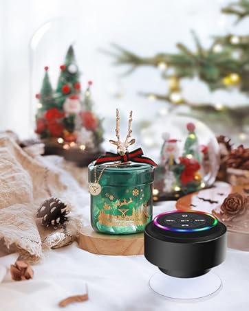 Portable Bluetooth Speakers