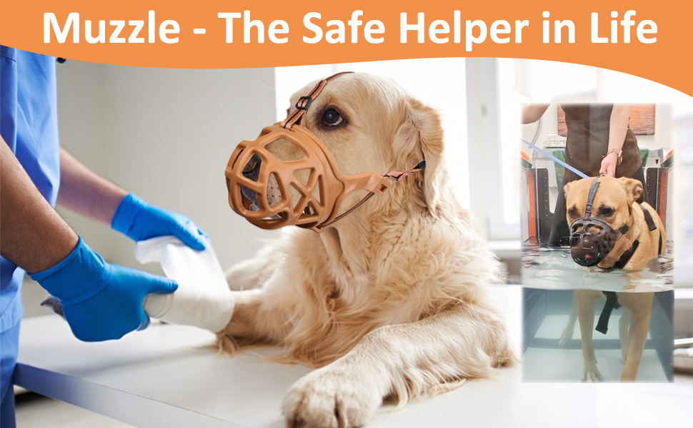 Dog Muzzle, Basket Muzzle for Biting, Chewing and Scavenging, Humane