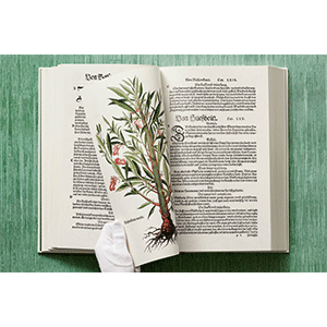 Leonhart Fuchs. The New Herbal: Dressendörfer, Werner