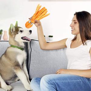 dog toy