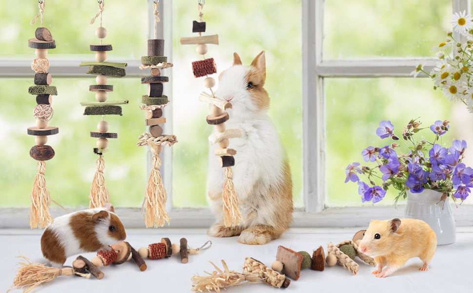 Bunny Hamster Rabbit Chew Toys