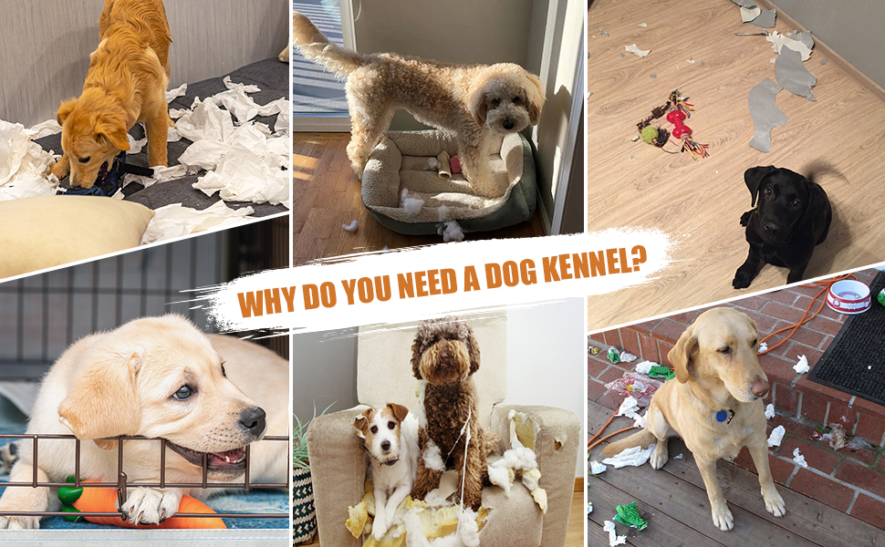 smworldnet027 dog crate