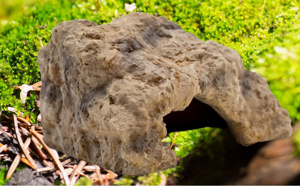 leopard gecko tank accessories